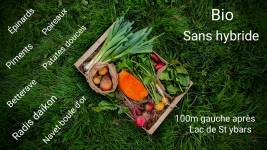 Alexandre LABADIE - LABADIE ALEXANDRE